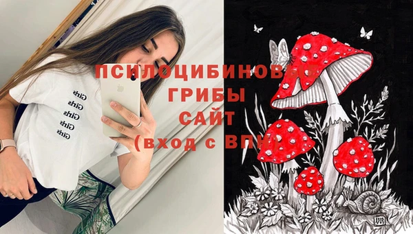 амфетамин Алексеевка