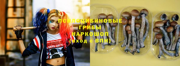 соль курить ск Алзамай