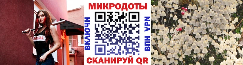 hydra как зайти  Лодейное Поле  Псилоцибиновые грибы GOLDEN TEACHER  что такое  